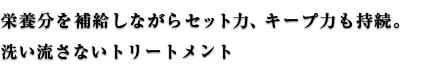 栄養分を補給しながら セット力、キープ力も持続。 洗い流さないトリートメント